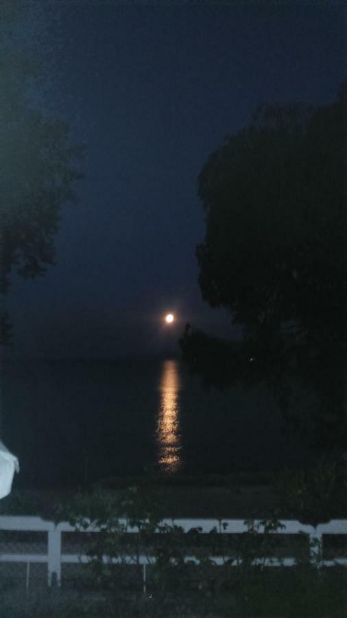 Palio Beach House Palaiontsiflikion Bagian luar foto